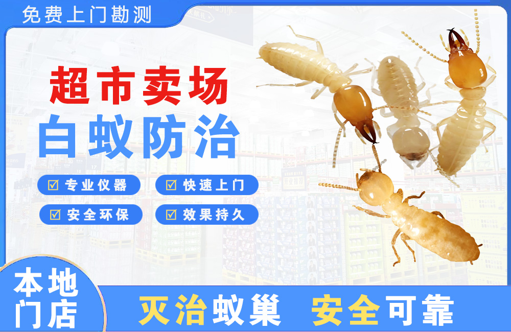 新沂超市卖场白蚁防治