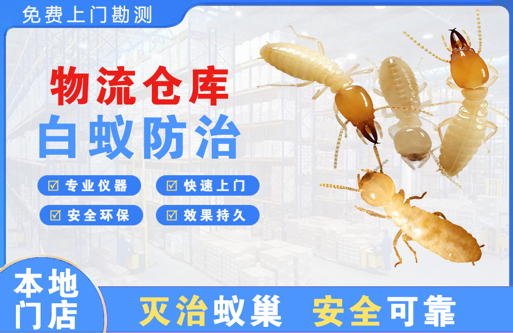 新沂物流仓库白蚁防治