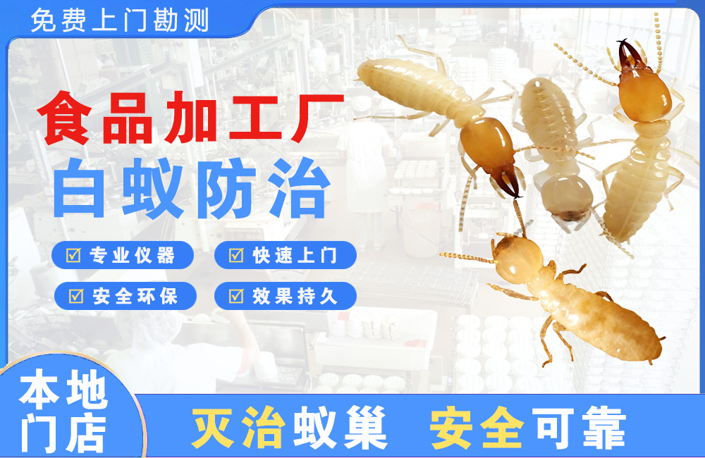 新沂食品加工厂白蚁防治