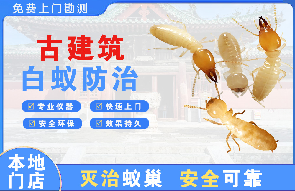 新沂古建筑白蚁防治