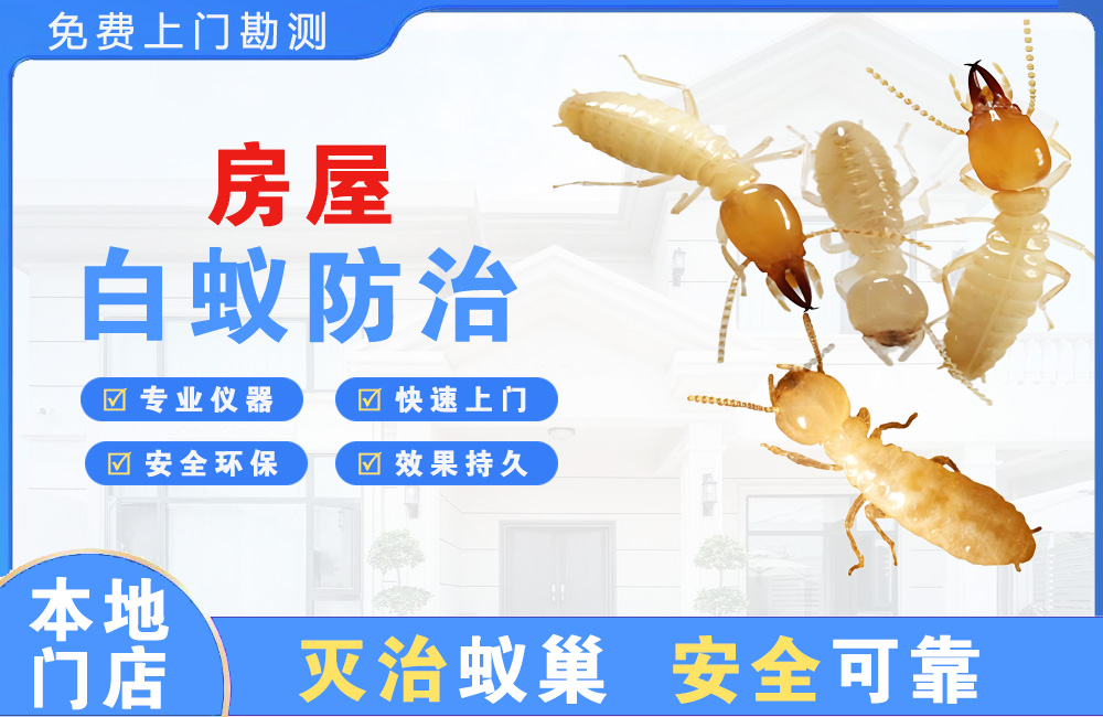 新沂房屋白蚁防治