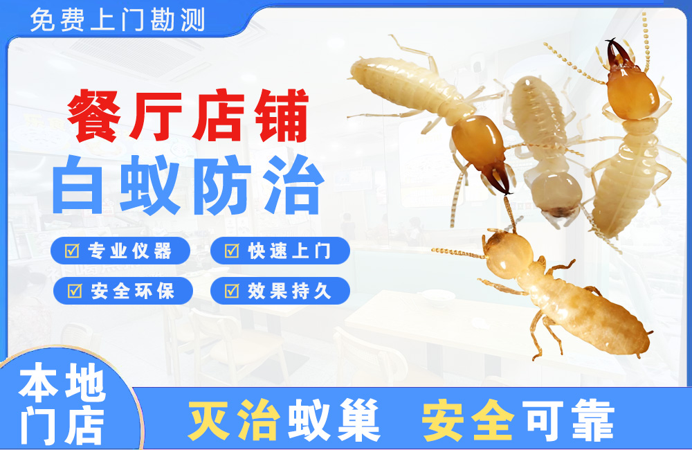 新沂餐厅店铺白蚁防治